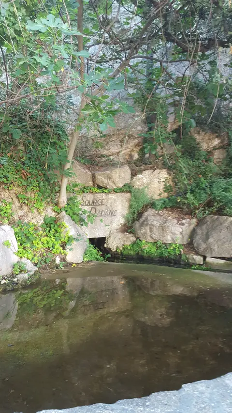 Source d'Adane