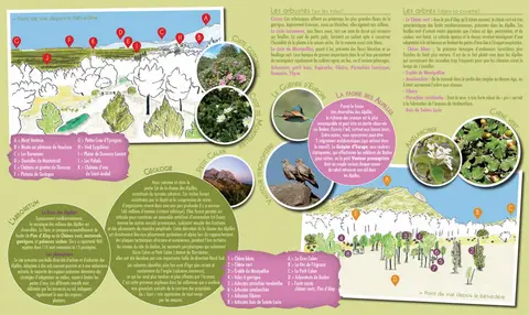 Arboretum de Badon
