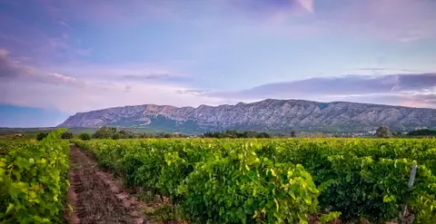 Domaine Travelle