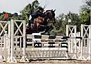 Club hippique "Les Plaines"