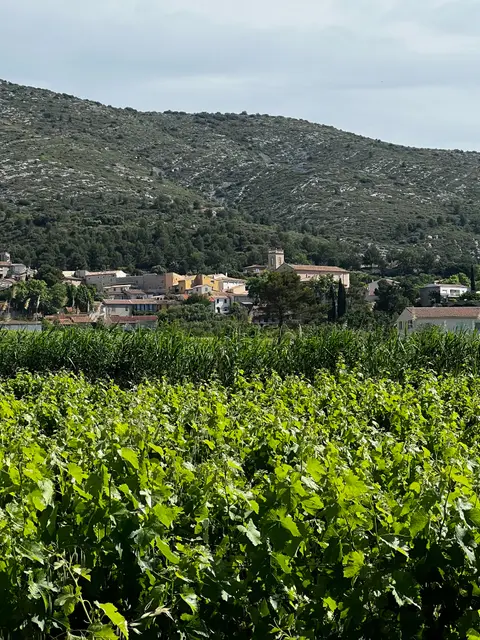 Randonnée au coeur du village