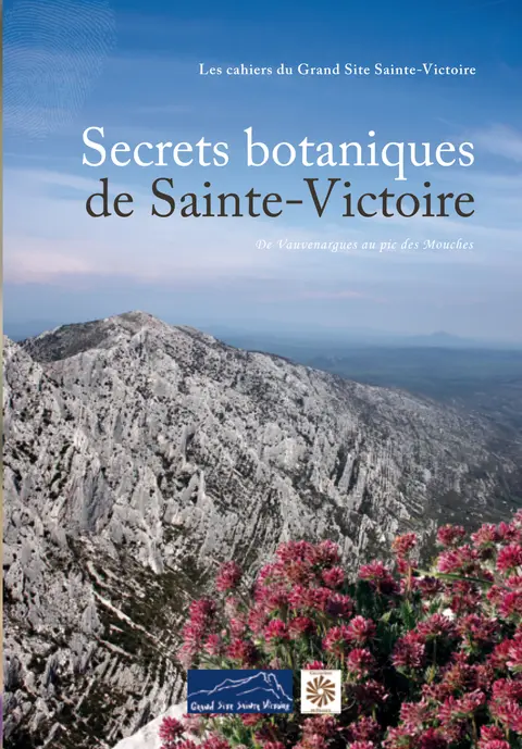 Sentier des Plaideurs : Découverte des secrets botaniques de Sainte-Victoire ave