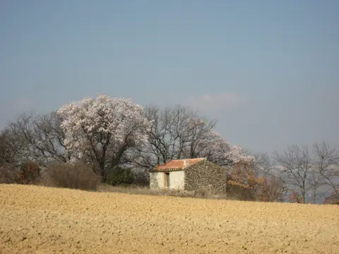Randonnée dans la campagne autour de Peynier