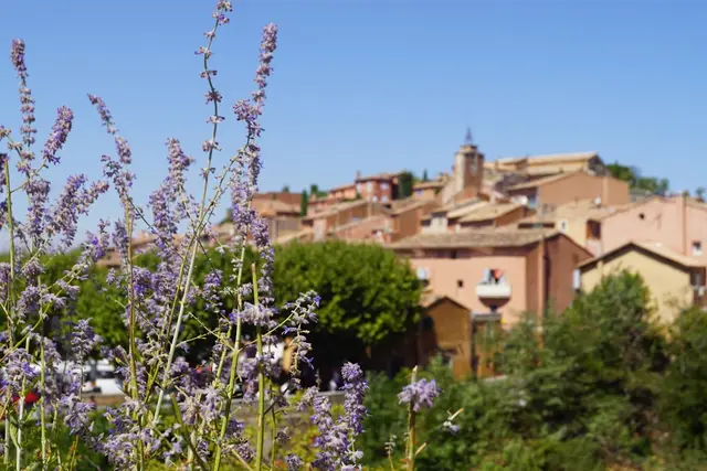 Authentique studio avec jardin à Cairanne — Provence