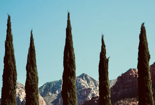 Rénové chalet avec vue à Jonquerettes — Provence