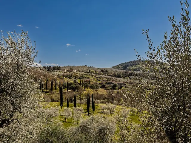 Spacieux chalet au calme à Le Plan-de-la-Tour — Provence