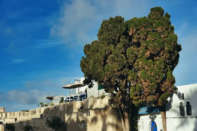 Spacieux villa près de la gare à Cabannes — Provence