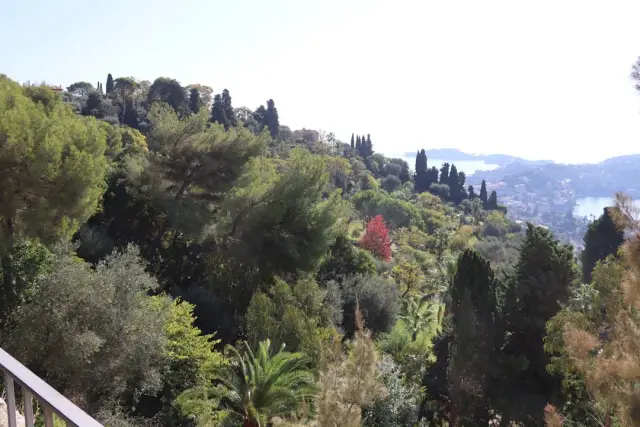 Rénové chalet plein de charme à Trans-en-Provence — Provence