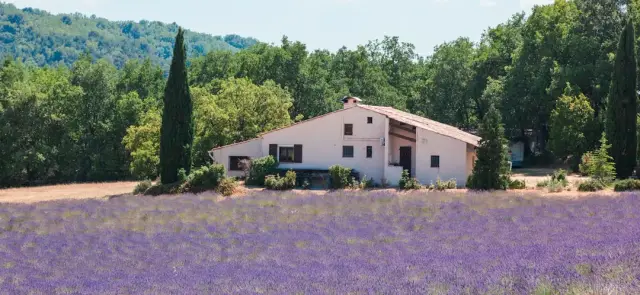 Chaleureux loft plein de charme à Taradeau
