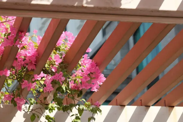 Spacieux studio avec jardin à Puy-Saint-Pierre