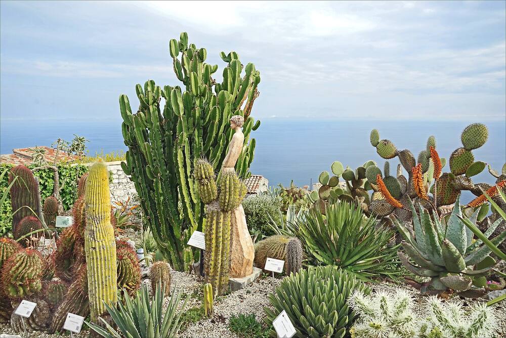Jardins